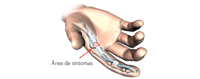 Dr. Rodrigo Wey Rodrigues - Traumacore - Centro de Traumatologia e